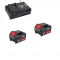 Two batteries and 18V 2.4A super fast battery charger