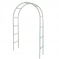 Metal garden arch for climbing plants